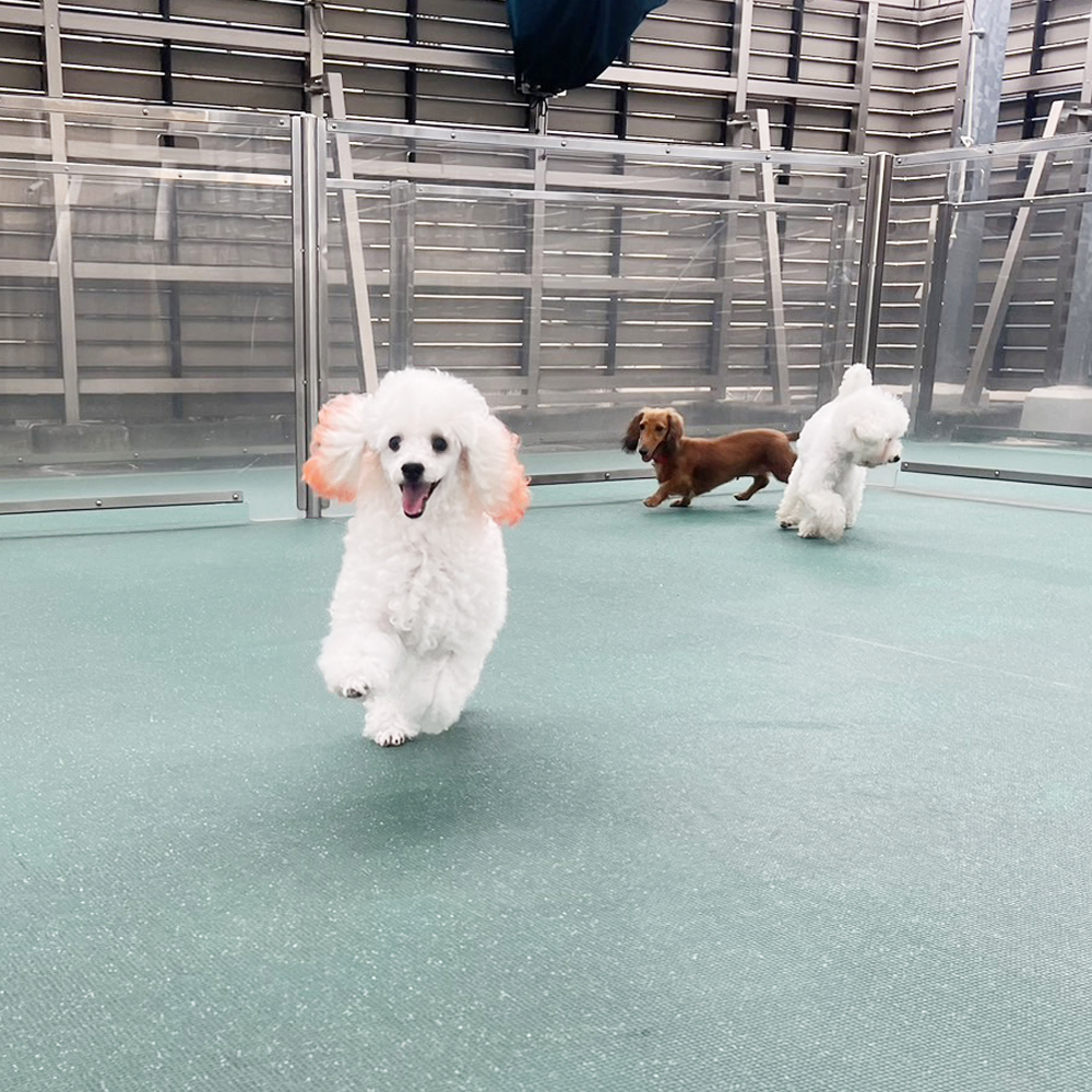生徒が撮影した写真を送ってくれました！②